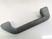 Front interior roof grab handle