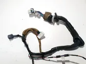 Other wiring loom