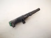 High voltage ignition coil