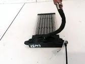 Electric cabin heater radiator