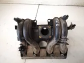 Intake manifold