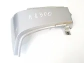 Rear/tail light trim molding