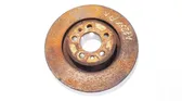 Front brake disc