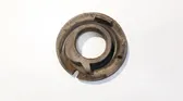 Front coil spring rubber mount