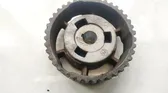 Fuel pump gear (pulley)