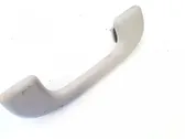 Front interior roof grab handle