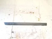 Listón embellecedor de la puerta delantera (moldura)