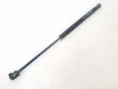 Tailgate/trunk strut/damper