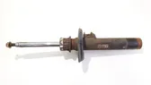 Front shock absorber/damper