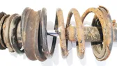 Front coil spring