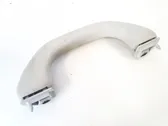 Front interior roof grab handle