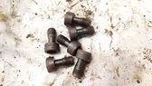 Nuts/bolts