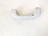 Front interior roof grab handle