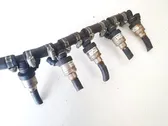 LP gas injector