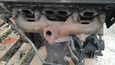 Exhaust manifold