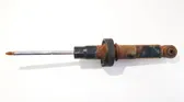 Rear shock absorber/damper