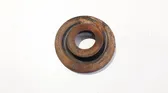 Front coil spring rubber mount