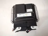Sterownik / Moduł ECU