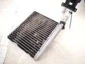 Heater blower radiator