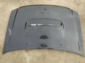 Engine bonnet/hood