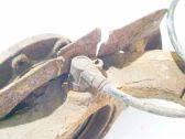 ABS Sensor