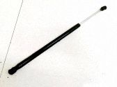 Tailgate/trunk strut/damper