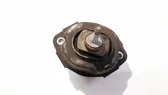 Support de moteur, coussinet