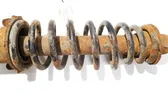 Rear coil spring