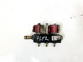 LP gas injector