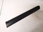 Listón embellecedor de la puerta delantera (moldura)