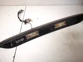 Trunk door license plate light bar