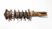 Front shock absorber/damper