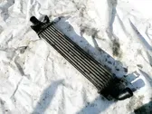 Radiador intercooler