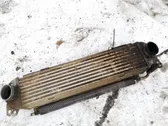 Intercooler radiator