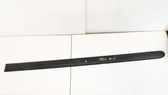 Rear door trim (molding)