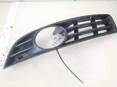 Front bumper lower grill