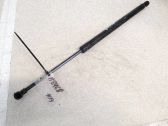 Tailgate/trunk strut/damper