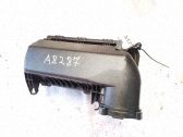 Caja del filtro de aire