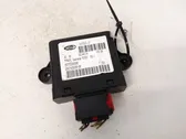 Steuergerät Hochdruckkraftstoffpumpe