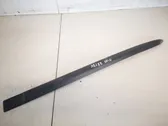 Rear door trim (molding)