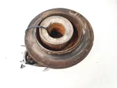 Coil spring mount