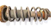 Rear coil spring