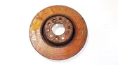 Front brake disc