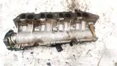 Intake manifold