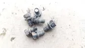 Nuts/bolts