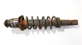 Rear shock absorber/damper