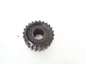 Crankshaft pulley