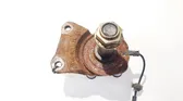 Eje corto
