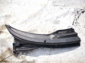 Moldura del limpia