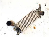 Intercooler radiator